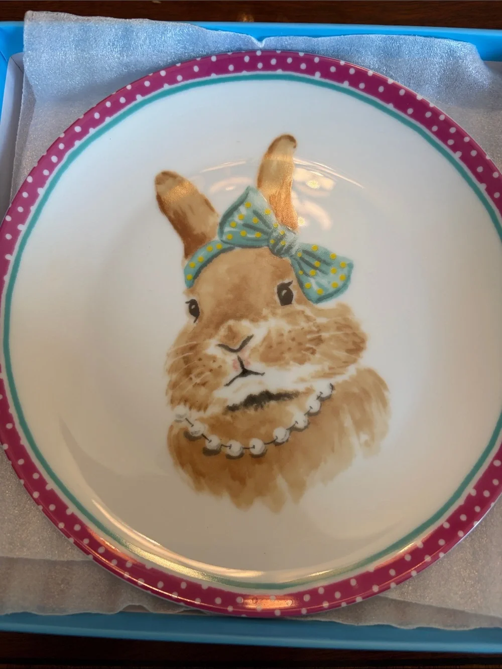 Pier 1 Bunny Salad Plates with Pink, Green and Teal Accents. New in box!